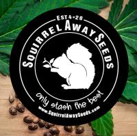 Squirrel Away Seeds image 2